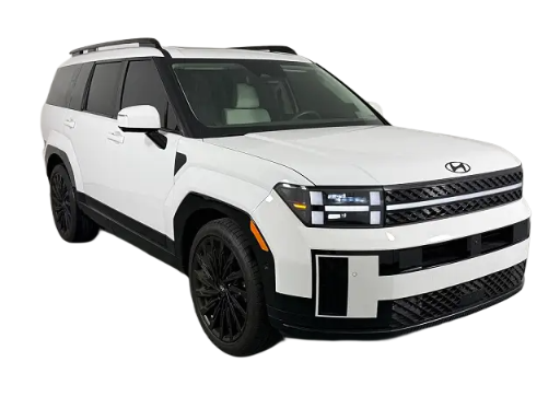 
								Hyundai Santa Fe Calligraphy full									