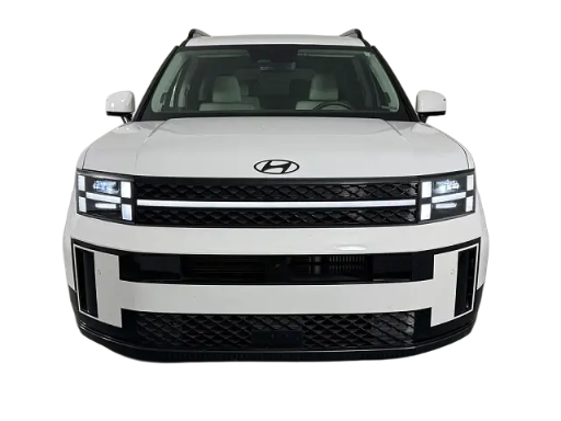 
								Hyundai Santa Fe Calligraphy full									